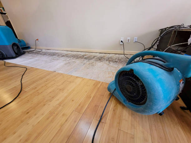 Professional Sewage Cleanup technician working in Oldsmar, FL